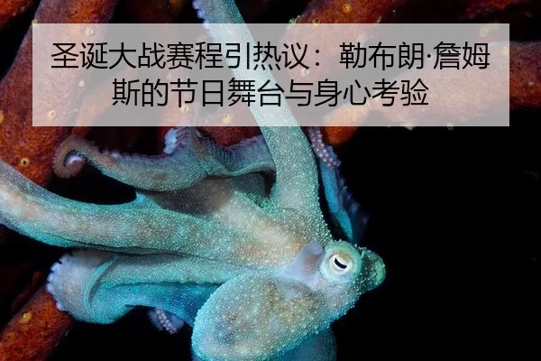sheng-dan-da-zhan-sai-cheng-yin-re-yi-lei-bu-lang-zhan-mu-si-de-jie-ri-wu-tai-yu-shen-xin-kao-yan-2-498.jpg